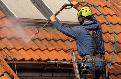 Démoussage et hydrofuge de toiture à Arvieu